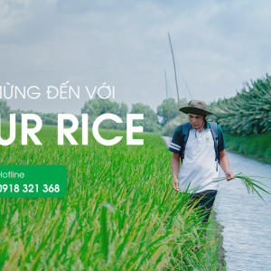 vi-sao-nguoi-tre-khong-muon-gan-bo-nong-nghiep