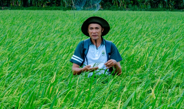 Your Rice 5
